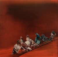 Jamal, 30 X 30, Oil on Canvas, Pigeon Painting, AC-JML-003 Jamal, 30 X 30, Oil on Canvas, Pigeon Painting, AC-JML-003